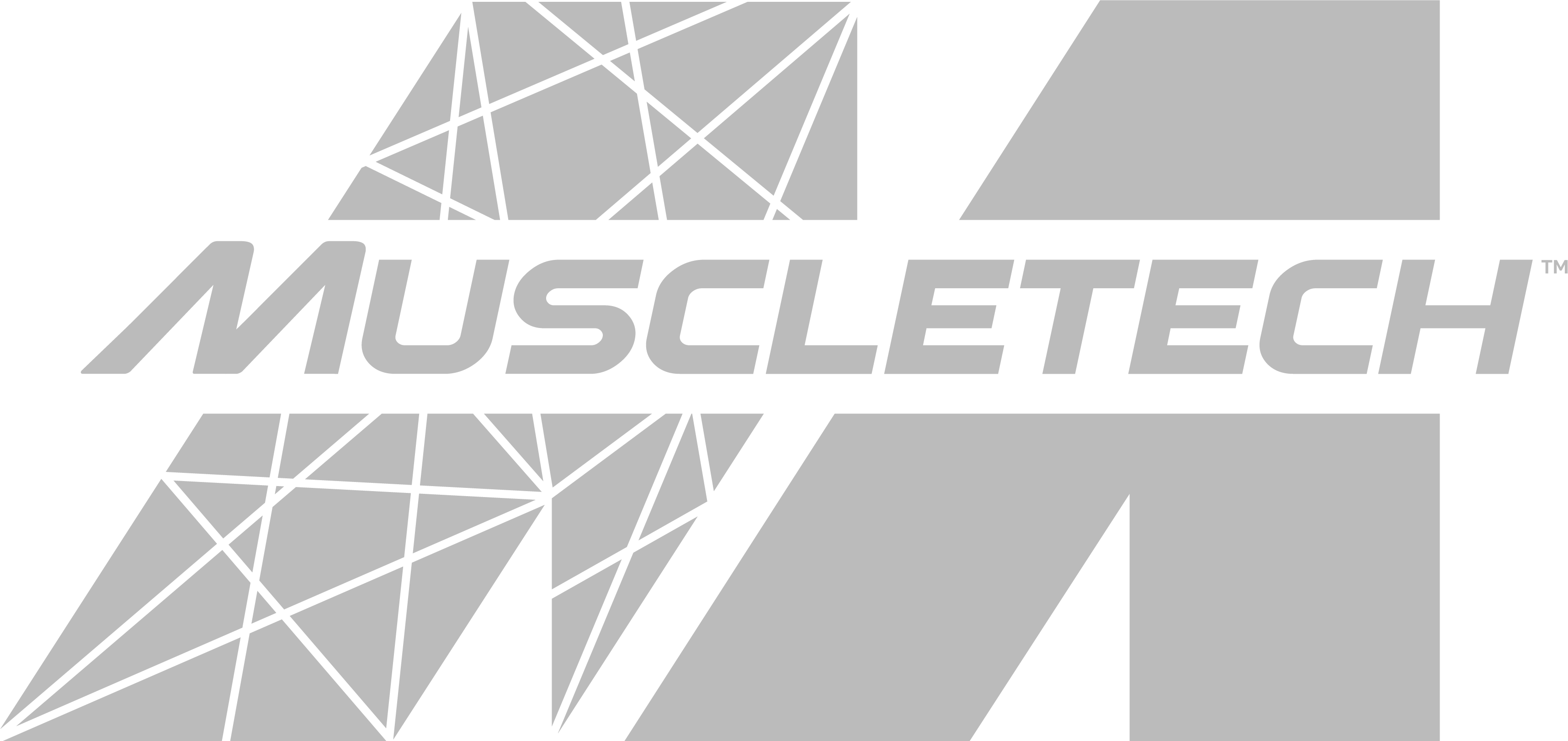 MuscleTech