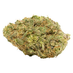 Cactus Funk Breath