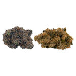 Flavour Pack