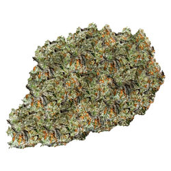 Grandmaster Funk