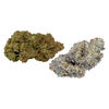 Holiday Taster Pack
