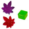 Vegan Gummy Collection