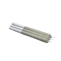 Platinum Garlic Pre-Roll