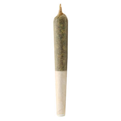 3 x lil Buddy Sativa Pre-Roll