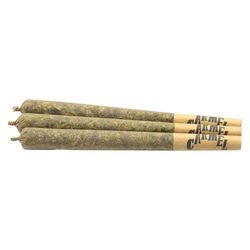 Slurty3 Pre-Roll