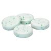 Sour Green Apple Mints
