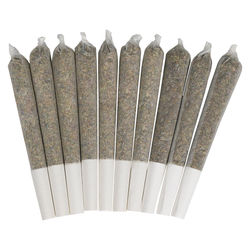 Jazzberry Pre-Roll