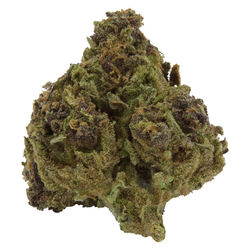Blueberry Muffin Whole Flower