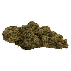 Northern Lights