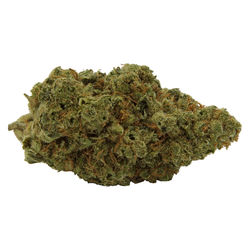 Strawberry Pie Whole Flower