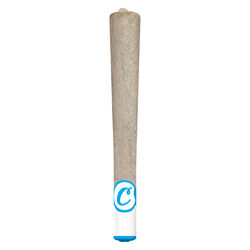 GP20 Ceramic Tip Pre-Roll