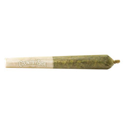 Purple Sunset Pre-Roll