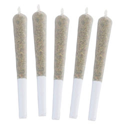 Darts Venom OG Sativa Crushed Diamond Infused Pre-Rolls