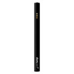 Blackberry Lime Disposable Pen