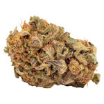 Crumbled Lime - Dried Flower