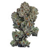 Rotational 1 Jar
