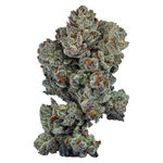 Rotational 1 Jar