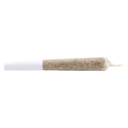 Water Hash Infused Pre-Roll Indica