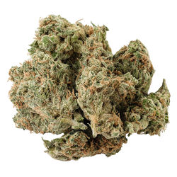 Kolab Project x Lotus Cannabis Co. Tranquil Elephantizer