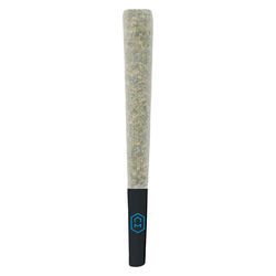 Nebula Runtz Pre-Roll