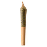 Pumpkin Spice Infused Pre-Roll