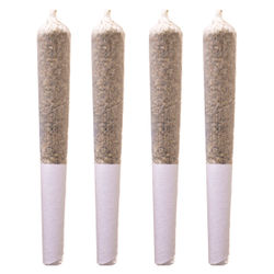 Orange Layer Cake Pre-Rolls
