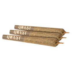 P.S. Cheetah Pre-Roll