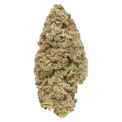 Hijinx Hybrid