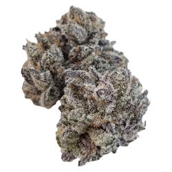 Top Shelf