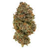 BC Organic Jokerz