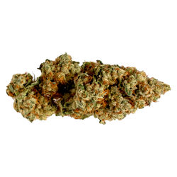 Daily Grape