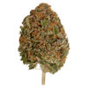 Headstash Kush