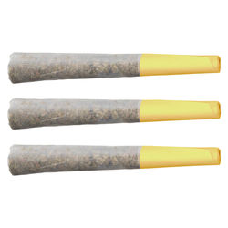 Banana Cream Pie Pre-Roll