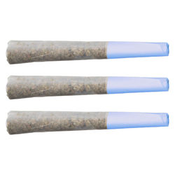 Blueberry Burst Pre-Roll