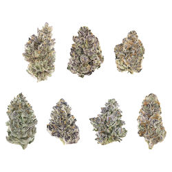 Hybrid Judges Kit