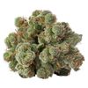 Himalayan Kush
