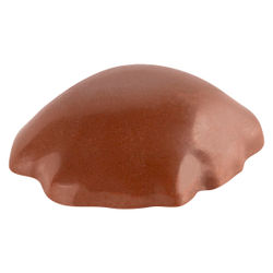 Chocolate Caramel Pecan Cluster