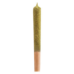 Slugger Kief+Distillate Infused BC Purple Kush Pre-Roll