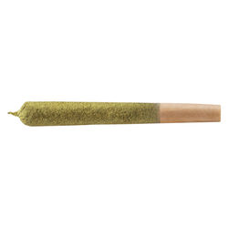 Slugger SLH Infused Pre-Roll