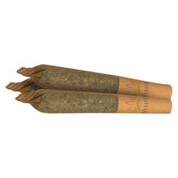 Bermuda Triangle Pre-Roll