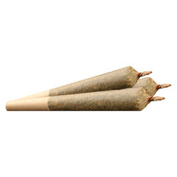 Devil Driver Pre-Roll