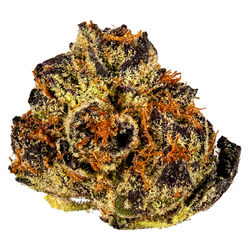 Fruitlicious