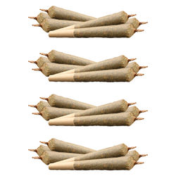 Daily Grind Pre-Roll