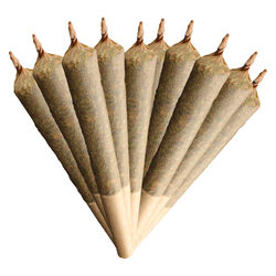 Layer Cheesecake Pre-Roll