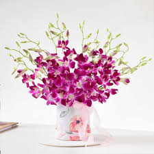 Enchanting Orchids Flower Bouquet