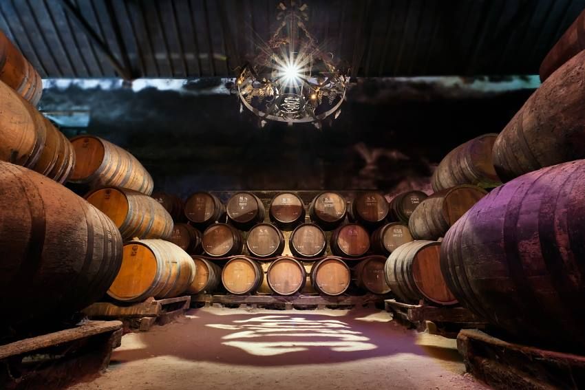 Prova de Vinhos e Visita ao Museu José Maria da Fonseca - Wine Tour  Experience