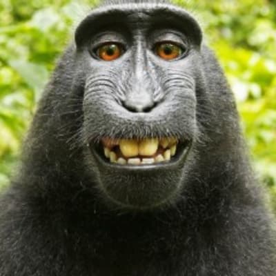 Bundeskasse Bundeskasse