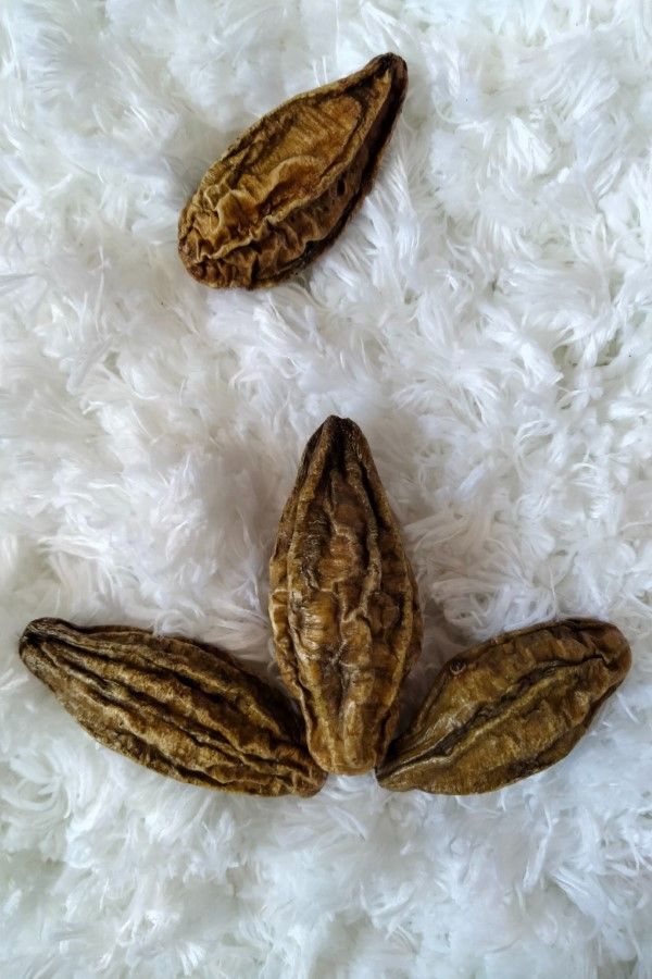 Brown Cardamom