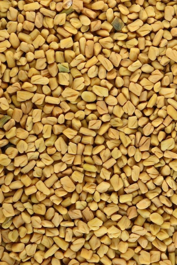 Fenugreek