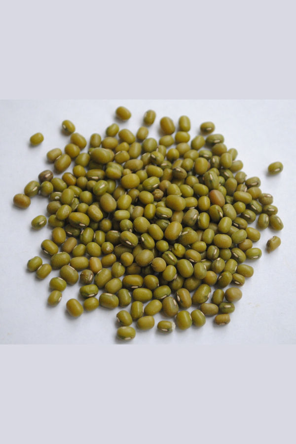 Green Gram / Mung Bean